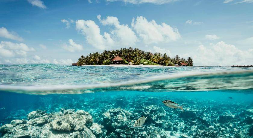 Funamadua Resort | 77 m² Resort ∙ 127 guests
