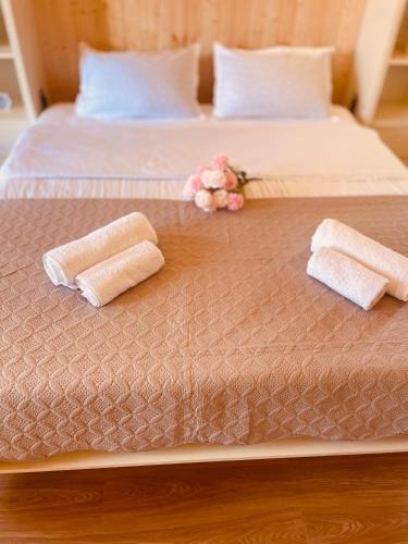 Sairme Ski Chalet | Chalet Harmony