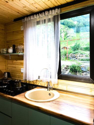 Stepantsminda Apartment | Cottage Rest in kazbegi