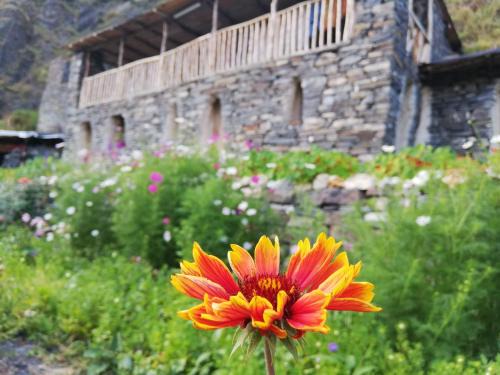 Shatili House | Fortress House Khakhabo