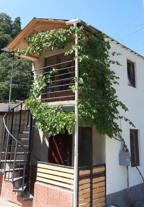 Borjomi House | Georgian House