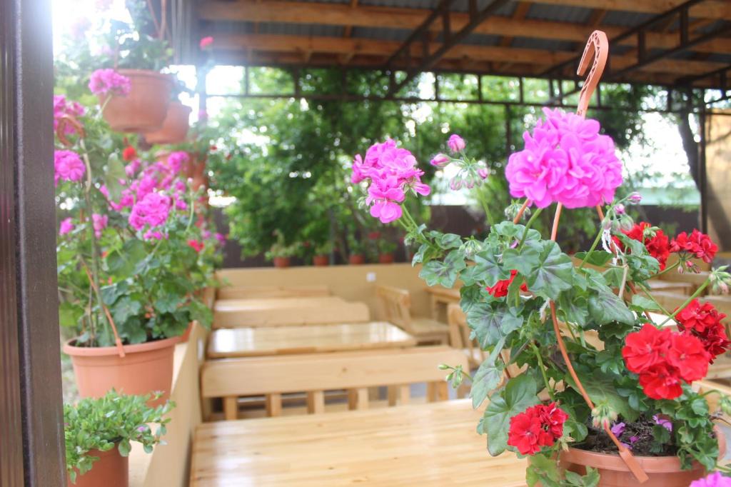 Alakhadzi House | Guest house Black Sea