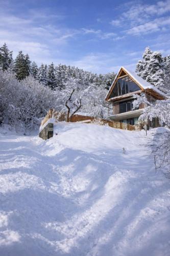 Abastumani House | Heart of Abastumani Forest Slope No Neighbors