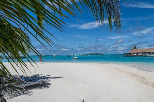 Kandooma Resort | Holiday Inn Resort Kandooma Maldives - Kids Stay & Eat Free and Free Roundtrip Speed Boat for a minimum 4 nights stay