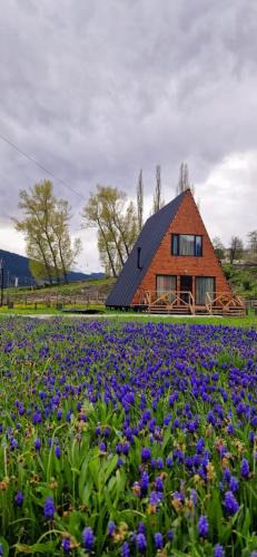 Bagvdanari House | Mestia Sunrise Cottage - 3BR Mountain Retreat
