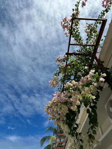 Dhigurah House | Naares Inn Dhigurah