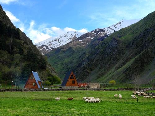 Kazbegi Ski Chalet | Take A Brake Kazbegi Cottage
