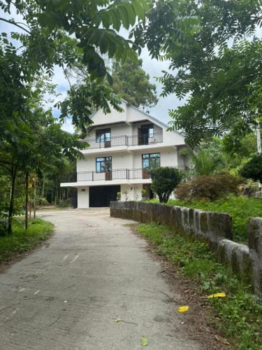 Mtsvane Kontskhi House | Vitishvis House