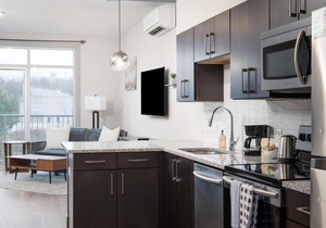 Studio King Suite with Kitchen | 202 in Asheville