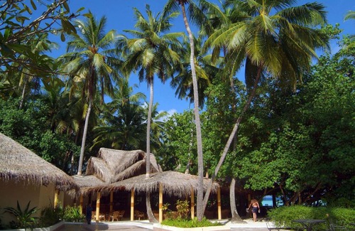 Biyadhoo Island Resort | 30 m² Resort ∙ 127 guests