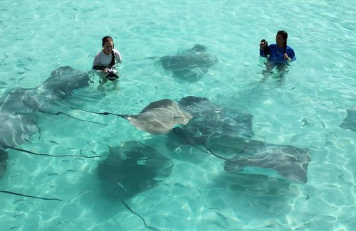 Fulidhoo Hotel | Hotel ∙ 8 guests