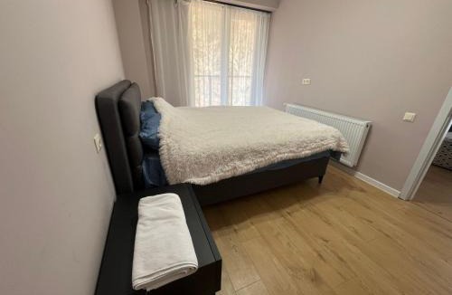 Borjomi Apartment | Боржоми-Ликани