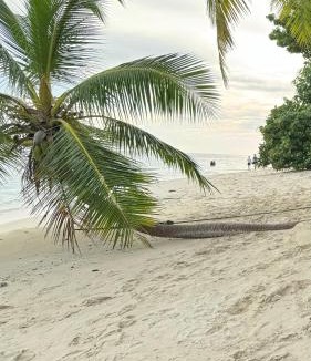 Felidhoo Hotel | Alimas Holiday Retreat Maldives