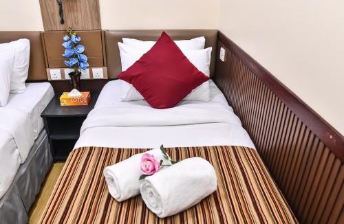 Male Hotel | Beehive Central