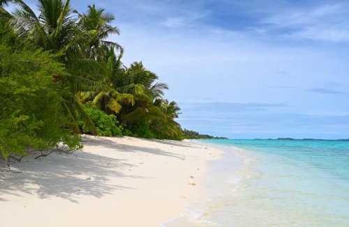 Dhigurah House | Boutique Beach All Inclusive Diving Hotel