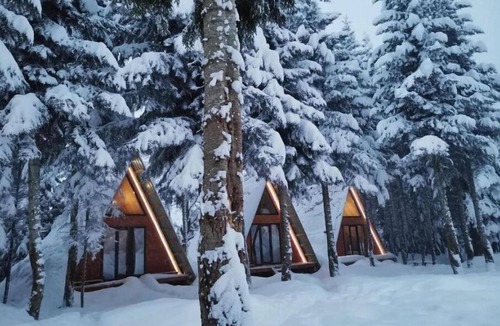 Bagvdanari House | Cabin in the forest, near to ski lift, provide breakfast and dinner