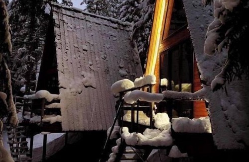 Bagvdanari House | Cabin in the forest, near to ski lift, provide breakfast and dinner