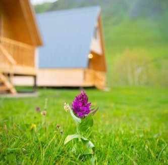Zhibiani Other | Cottage Caucasus