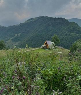 Roshka Villa | Cottage in chirdili