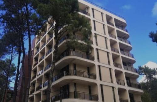 Shekhvetili Apartment | Decom Riviera