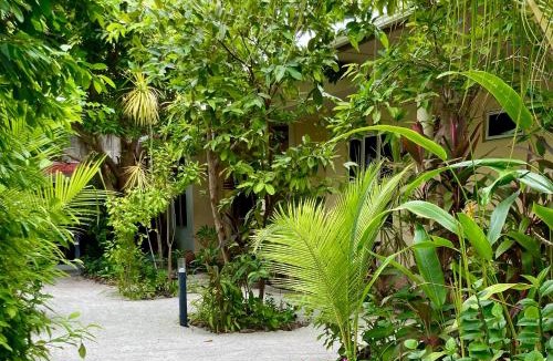 Dhangethi House | Dhangethi Retreat