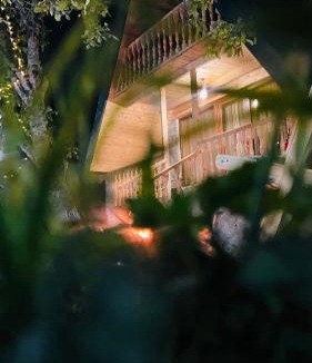 Borjomi Apartment | ElNi hause Borjomi