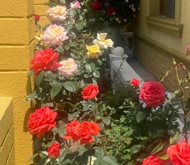 Gori House | Family hotel