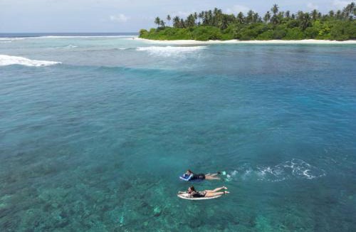 Thimarafushi Apartment | Fishing Tours Maldives
