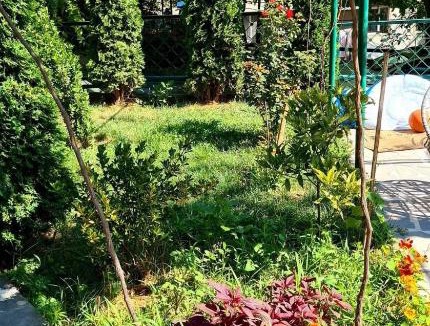 Borjomi House | Guest House Casa