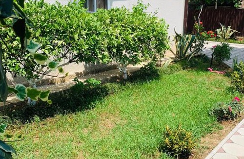 Gudauta House | Guest House Mari