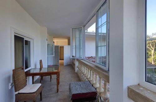 Shekhvetili House | Guesthouse-villa Shekvetili AE