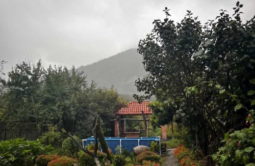 Lagodekhi House | Jibghashvilebi's house