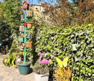 Kutaisi Apartment | Sunny Flower