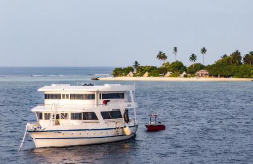 Laamu Atoll Resort | The MAVERICK SURF AND DIVE BOUTIQUE HOTEL - Book 10 Nights and get 1 Free Night - Free Speed Boat Service - Kids Stay Free