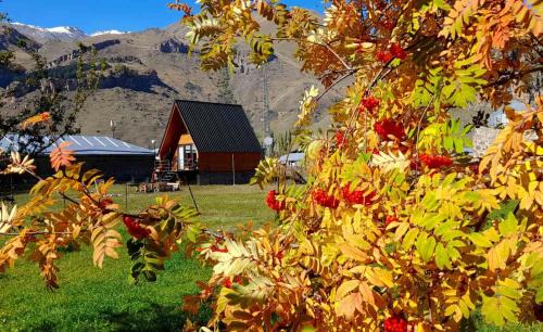 Ach'khoti Apartment | Thomas' Hut