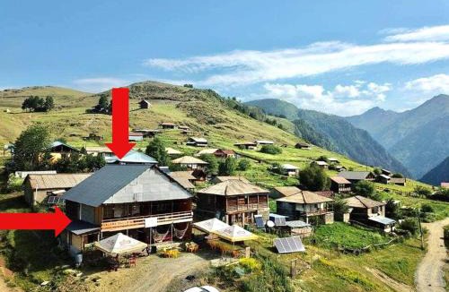 Omalo Hostel | Tishe
