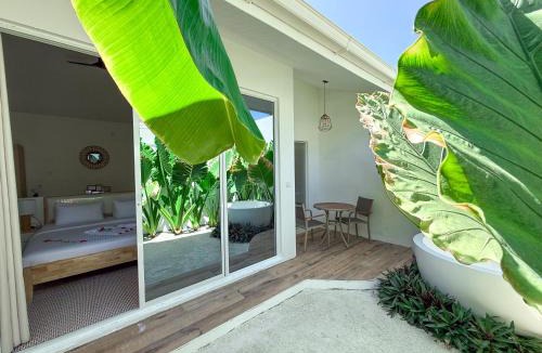 Thoddoo House | Tropicana Villas Maldives