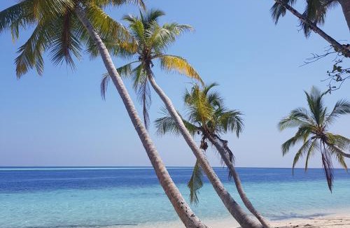 Felidhoo House | Vaali Maldives Island Escapes & Dive