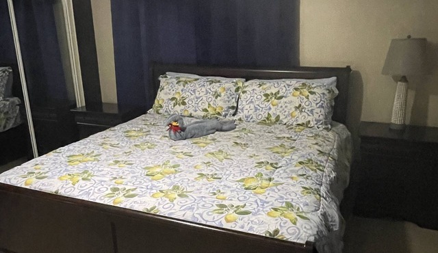 1 bedroom/optional car rental in St Thomas