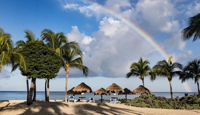 Amazing Ocean View from the top floor! Wonderful Pools, Grounds, & Beach! in Cozumel