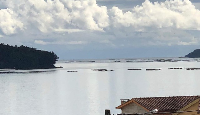 Apartment with sea view in Campelo