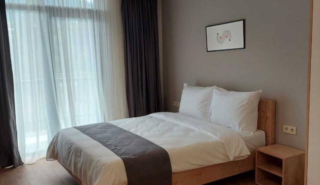 Bakuriani apartment m25 (517) in bakuriani