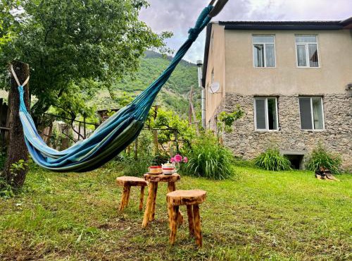Barbara's Eco-Cozy GuestHouse in Mestia