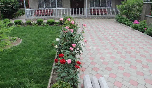 Basic Double Room Single Use, 1 Double Bed