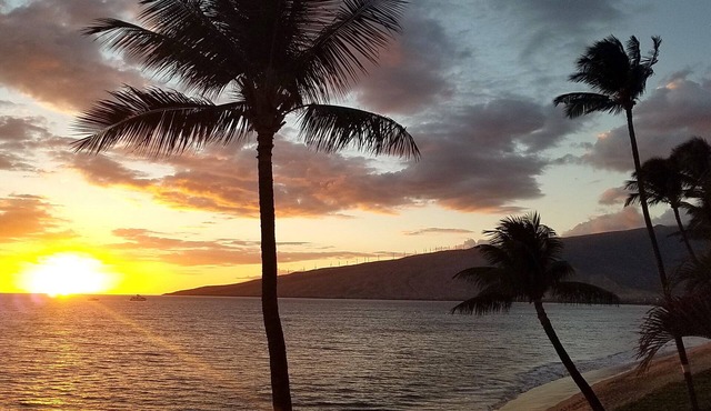 Beachfront Direct Ocean Views, End Unit, AC, Wi-Fi TVs, Elevator, Free Parking in Kihei