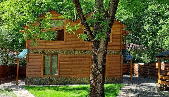 Borjomi in likani. National park of borjom kharagauli. Mountain forest hiking