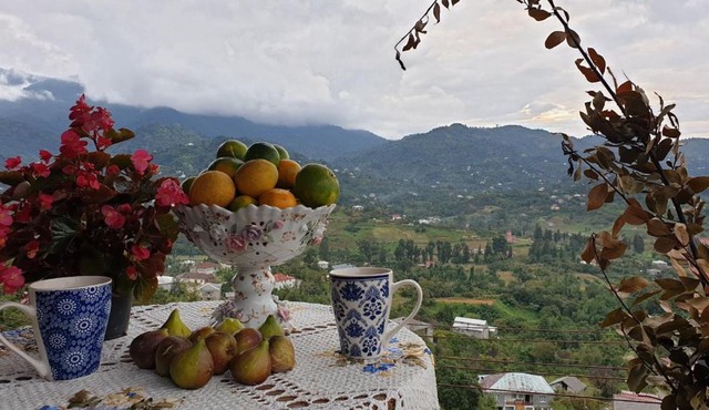 Chakvi View Guest House in Gorgadzeebi