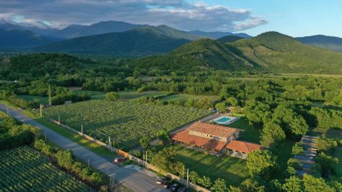 Chubini Winery & Cabins