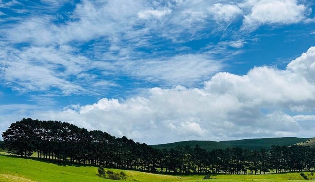 Country Studio Out West in Helensville