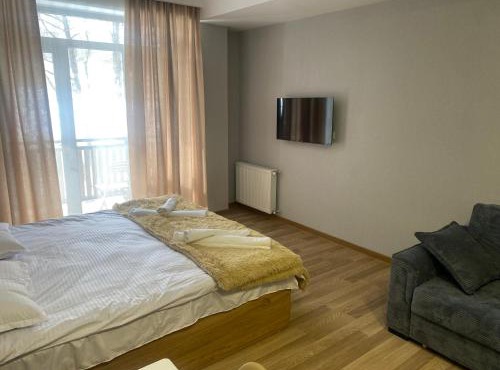 Cozy apartment Dvali in Bakuriani